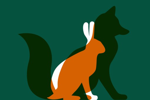 Neuer Markenauftritt für Fuchs & Hase