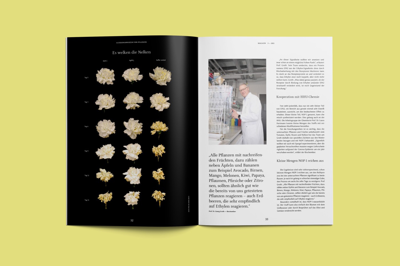 Aufgeschlagene HHU-Magazin-Doppelseite zum Thema Ethylen in Pflanzen mit fotografischer Darstellung getrockneter Nelken, Forschung an Viren, alte Kinderzeichnungen, Illustration zu Narzissmus und einem Urweltmammutbaum-Aufmacher