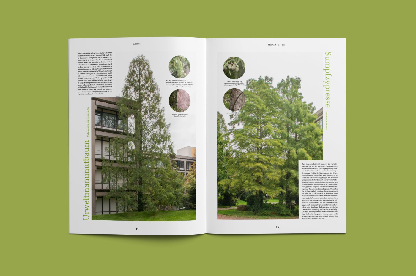 vista &mdash; Designstudio f&uuml;r Kommunikationsdesign in D&uuml;sseldorf | Neues aus Wissenschaft & Forschung
